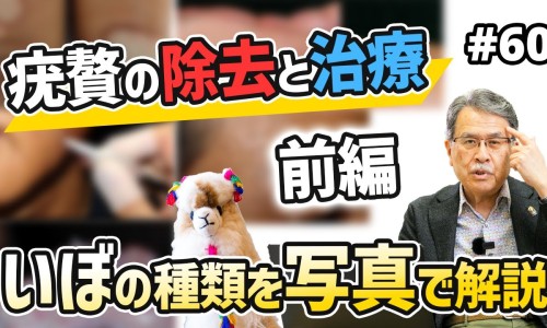 肤美灵好不好用-肤美颗粒网- 肤美灵真的好用吗知识,分享肤美灵正品图片